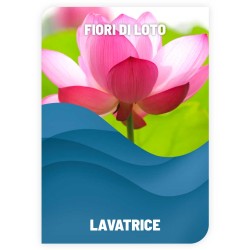 LAVATRICE fiori di loto 1KG